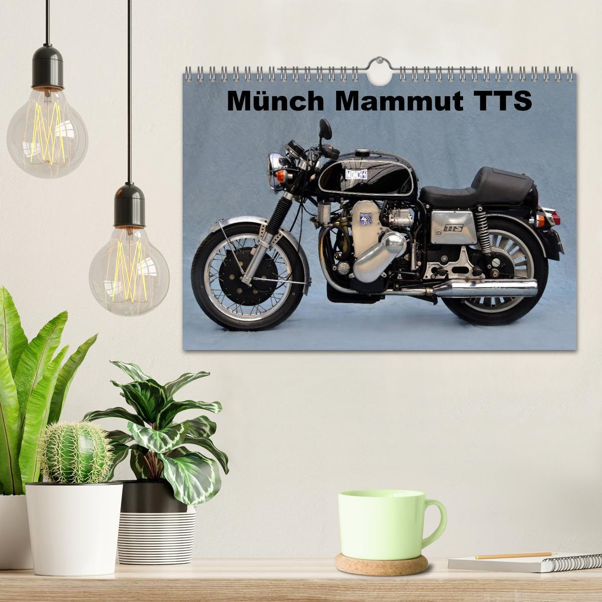 Bild: 9783435699124 | Münch Mammut TTS (Wandkalender 2025 DIN A4 quer), CALVENDO...