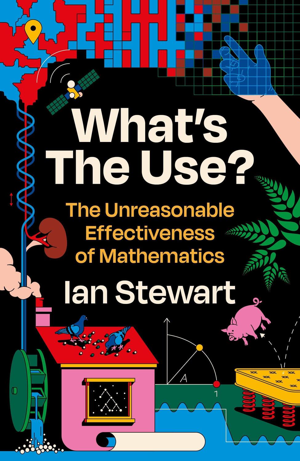 Cover: 9781781259429 | What's the Use? | The Unreasonable Effectiveness of Mathematics | Buch