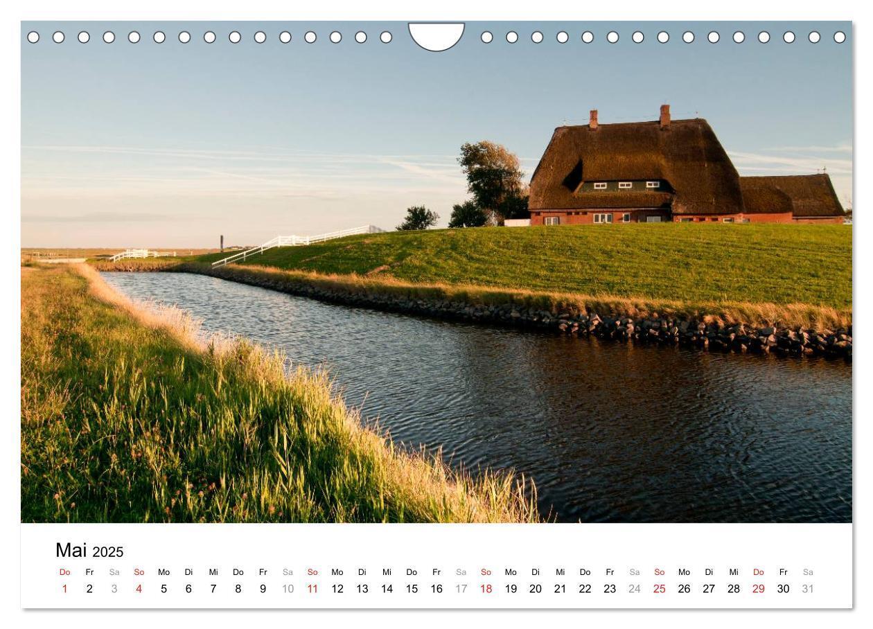 Bild: 9783435570386 | Hallig Hooge - zwischen Himmel und Erde (Wandkalender 2025 DIN A4...