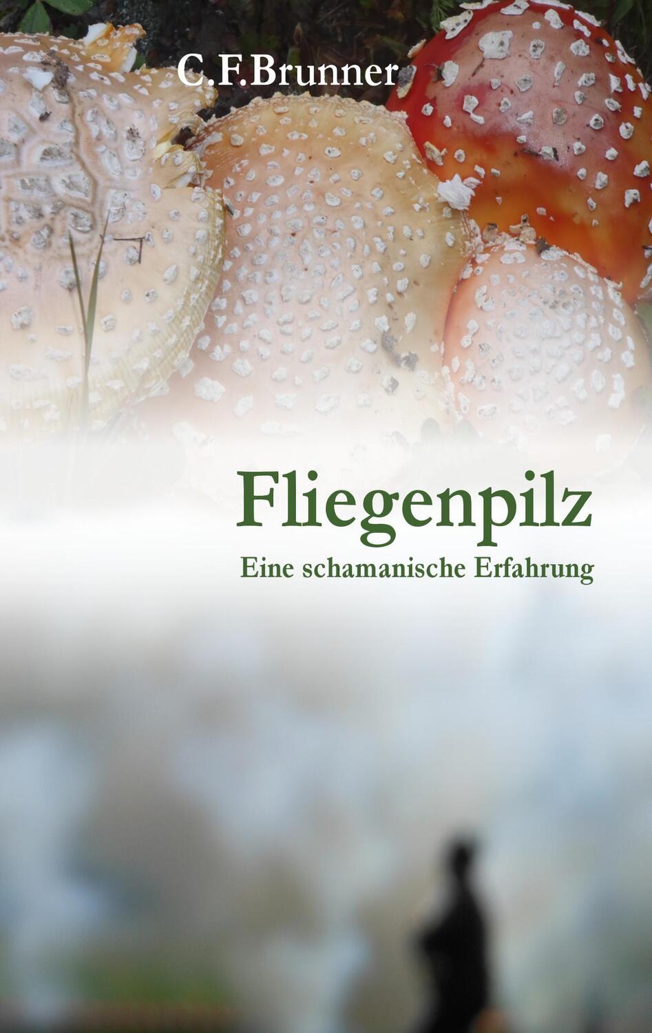Cover: 9783732254811 | Fliegenpilz | Eine Schamanische Erfahrung | Brunner | Taschenbuch