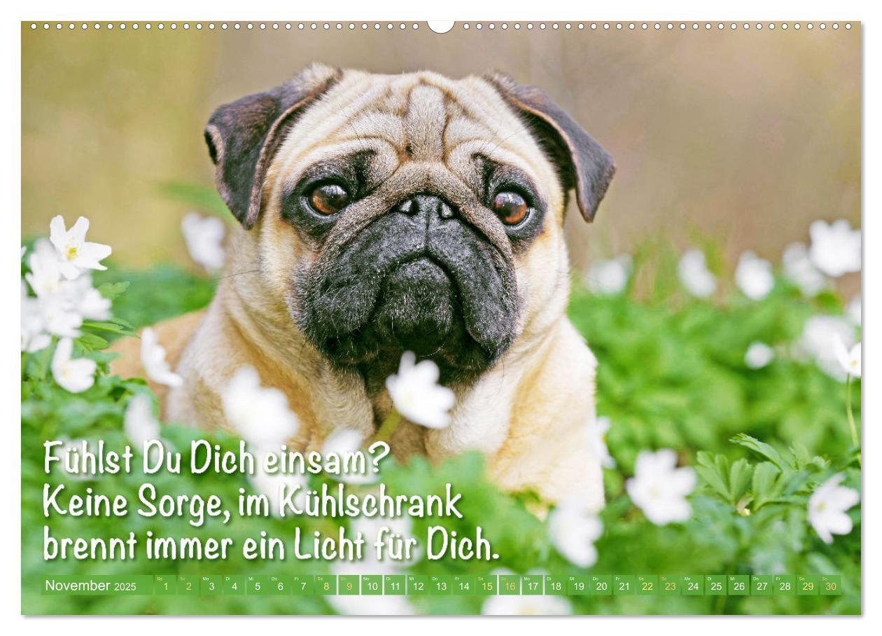 Bild: 9783435070466 | Der Mops: Nicht klein, sondern aufs Wesentliche reduziert. Edition...