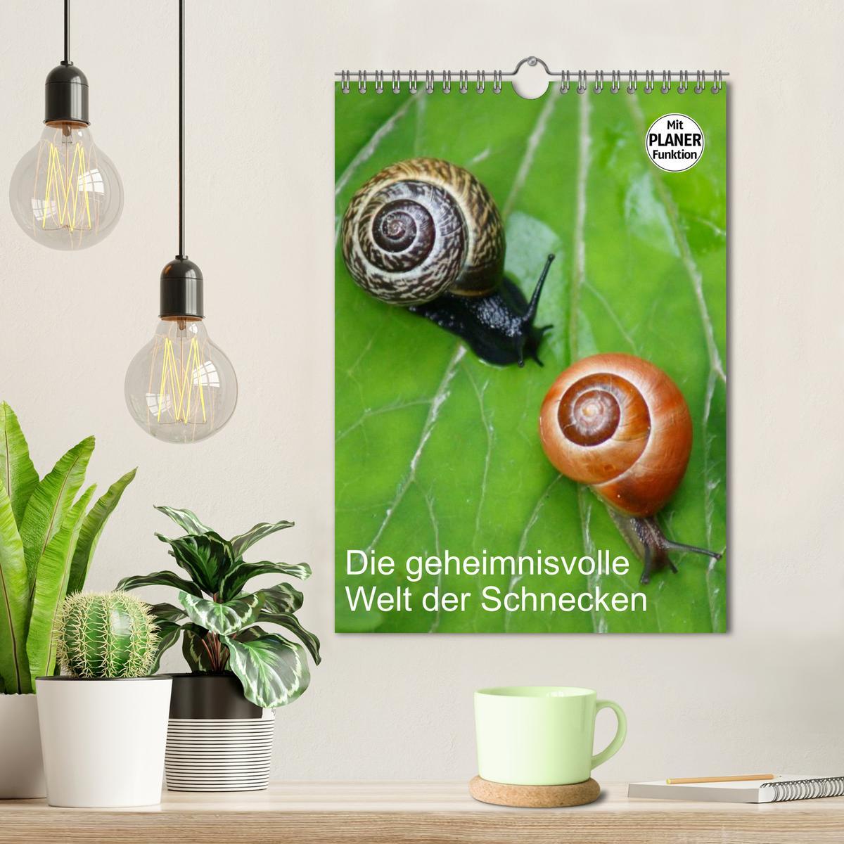 Bild: 9783457005644 | Die geheimnisvolle Welt der Schnecken (Wandkalender 2025 DIN A4...