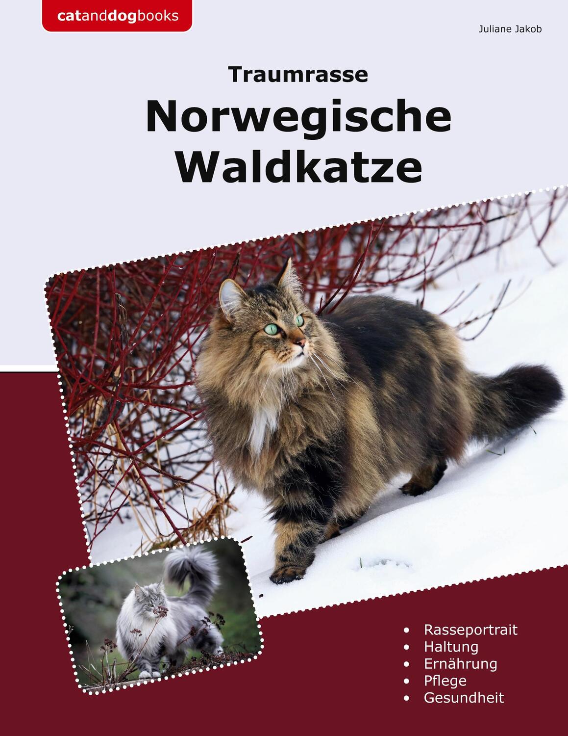 Cover: 9783759723116 | Traumrasse Norwegische Waldkatze | Juliane Jakob | Taschenbuch | 2024