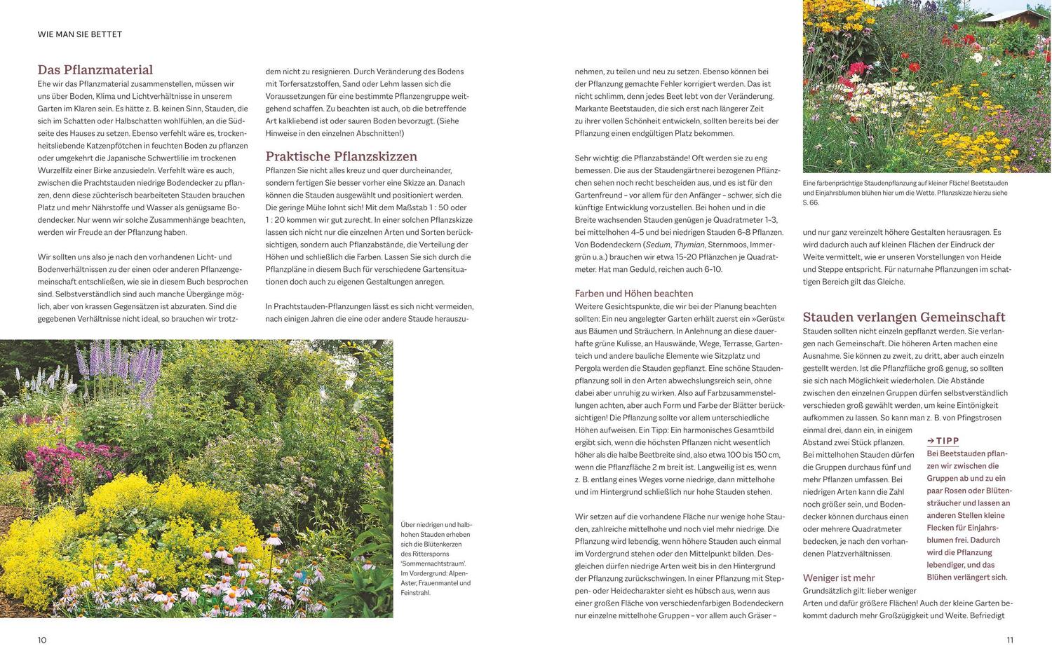 Bild: 9783967471175 | Das BLV Handbuch Stauden | Arten und Sorten Pflanzen und Pflegen