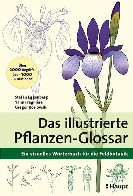 Cover: 9783258081748 | Das illustrierte Pflanzen-Glossar | Stefan Eggenberg (u. a.) | Buch