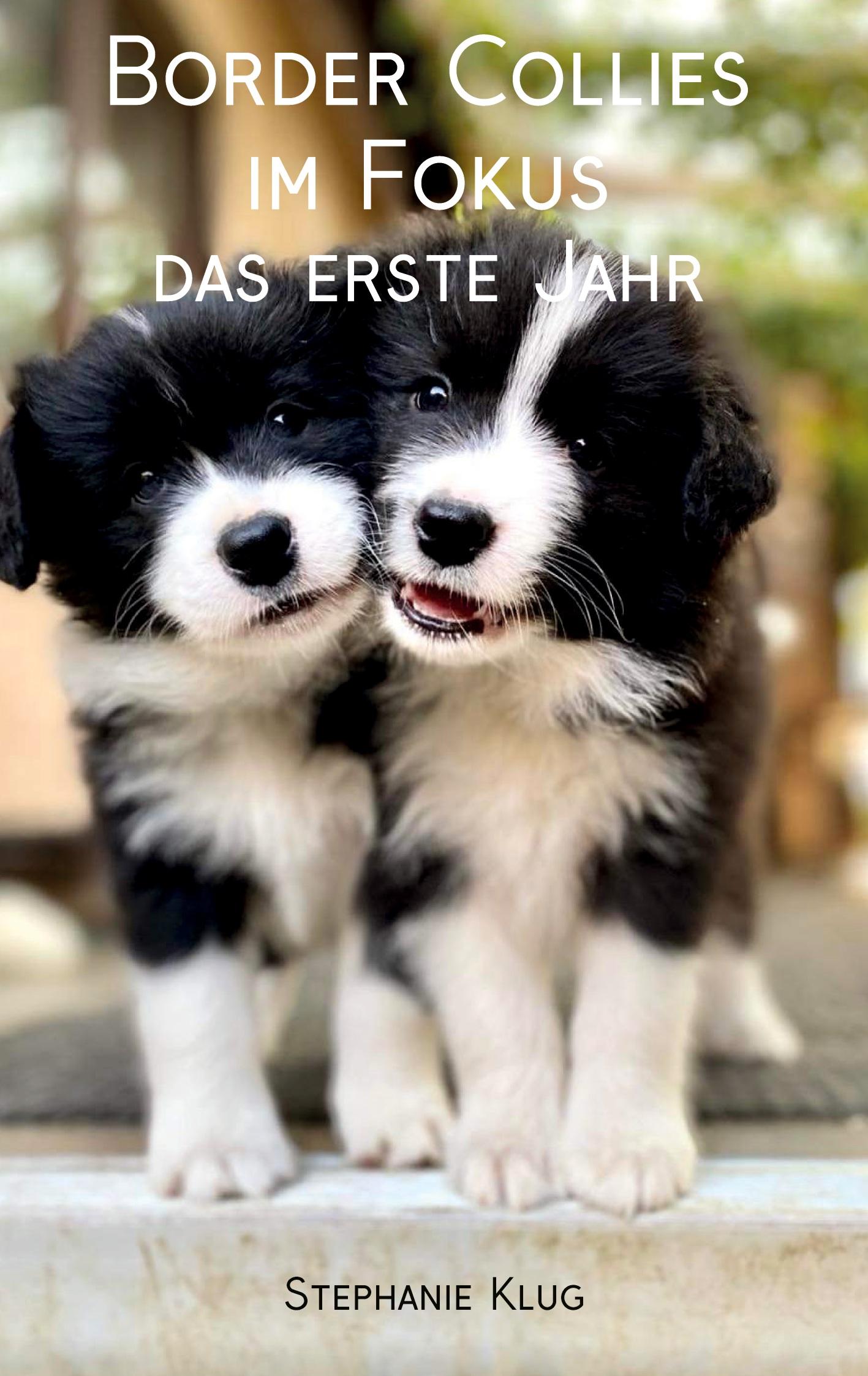 Cover: 9783985278398 | Border Collies im Fokus - das erste Jahr | Stephanie Klug | Buch