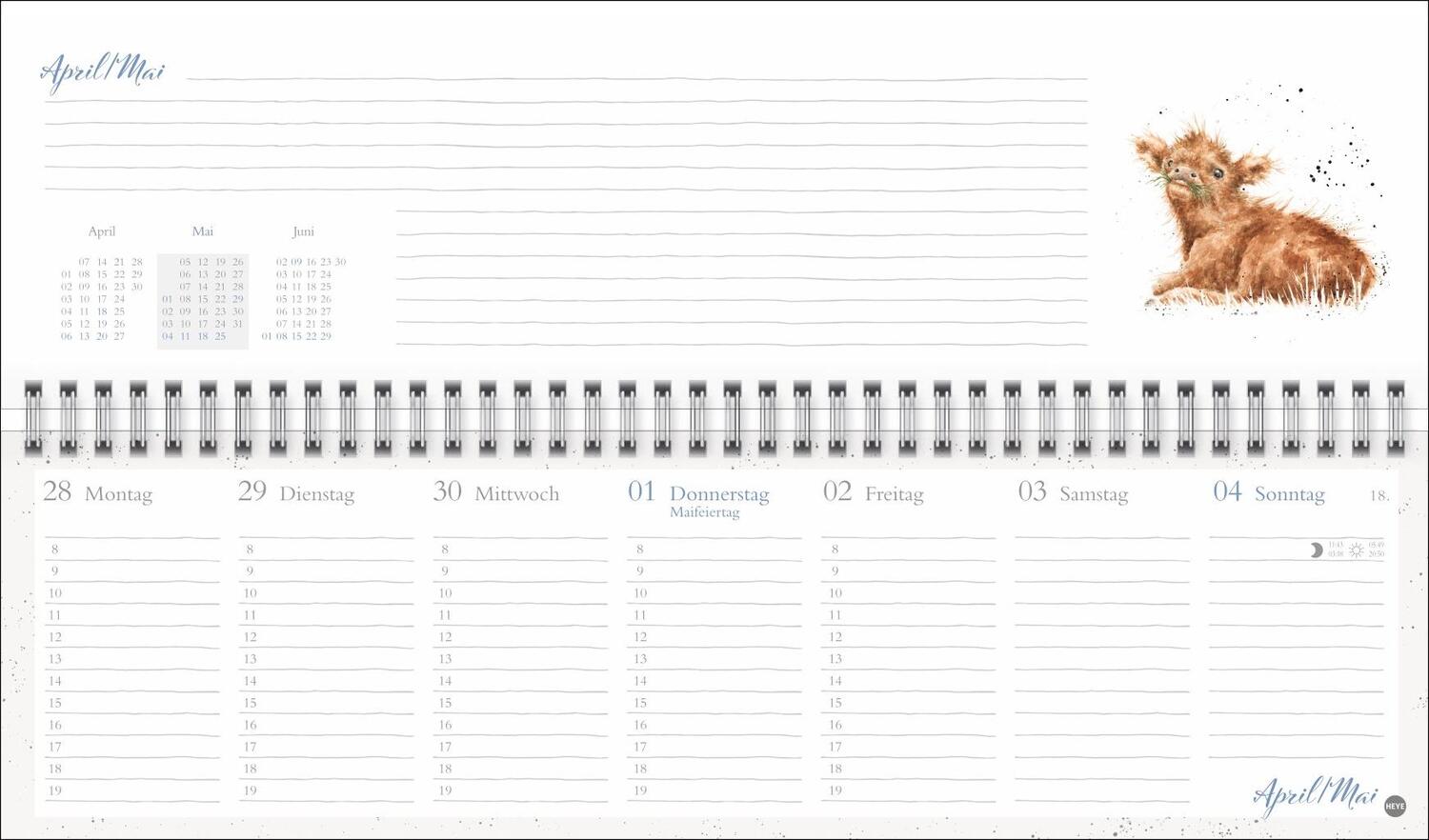 Bild: 9783756406616 | Hannah Dale : Wochenquerplaner 2025 | Hannah Dale | Kalender | 112 S.