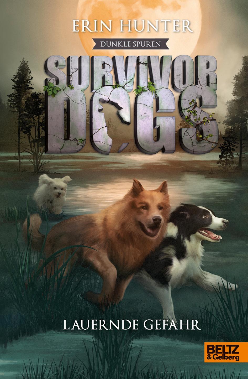 Cover: 9783407823625 | Survivor Dogs II 04 - Dunkle Spuren. Lauernde Gefahr | Erin Hunter