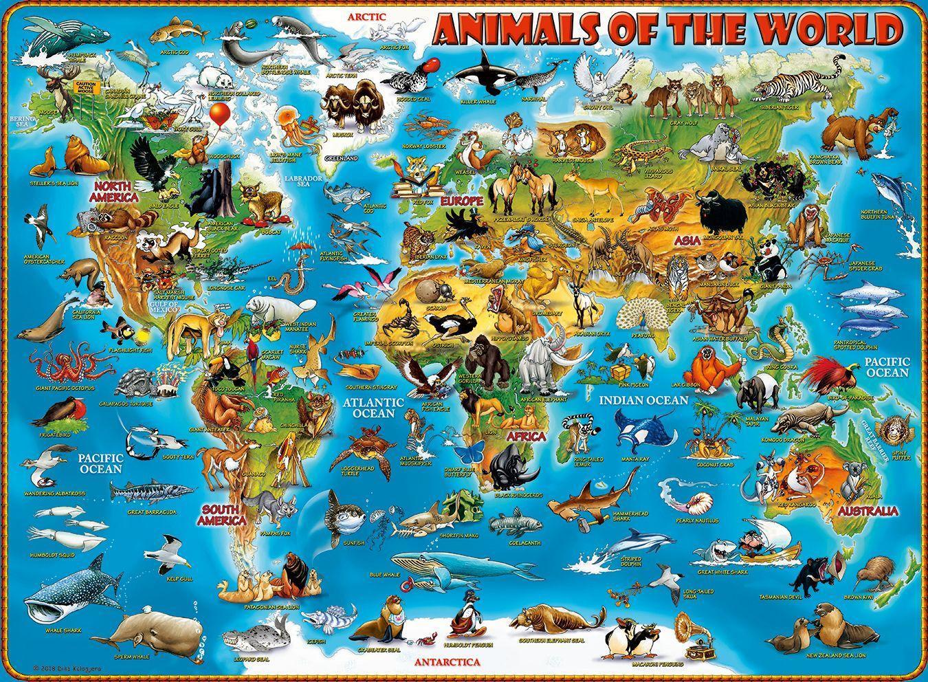 Bild: 4005556132577 | Tiere rund um die Welt 300p | Spiel | Deutsch | 2019 | Ravensburger