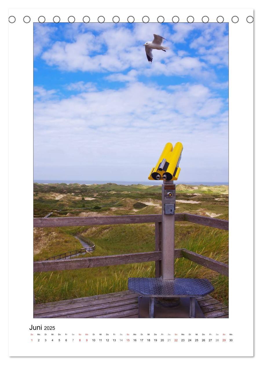 Bild: 9783457005439 | Amrum - Oomram, Kleine Insel - Große Vielfalt (Tischkalender 2025...