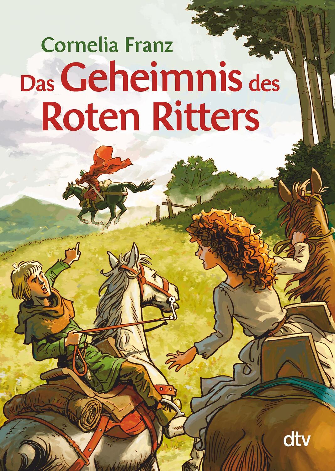 Cover: 9783423716611 | Das Geheimnis des Roten Ritters | Ein Abenteuer aus dem Mittelalter