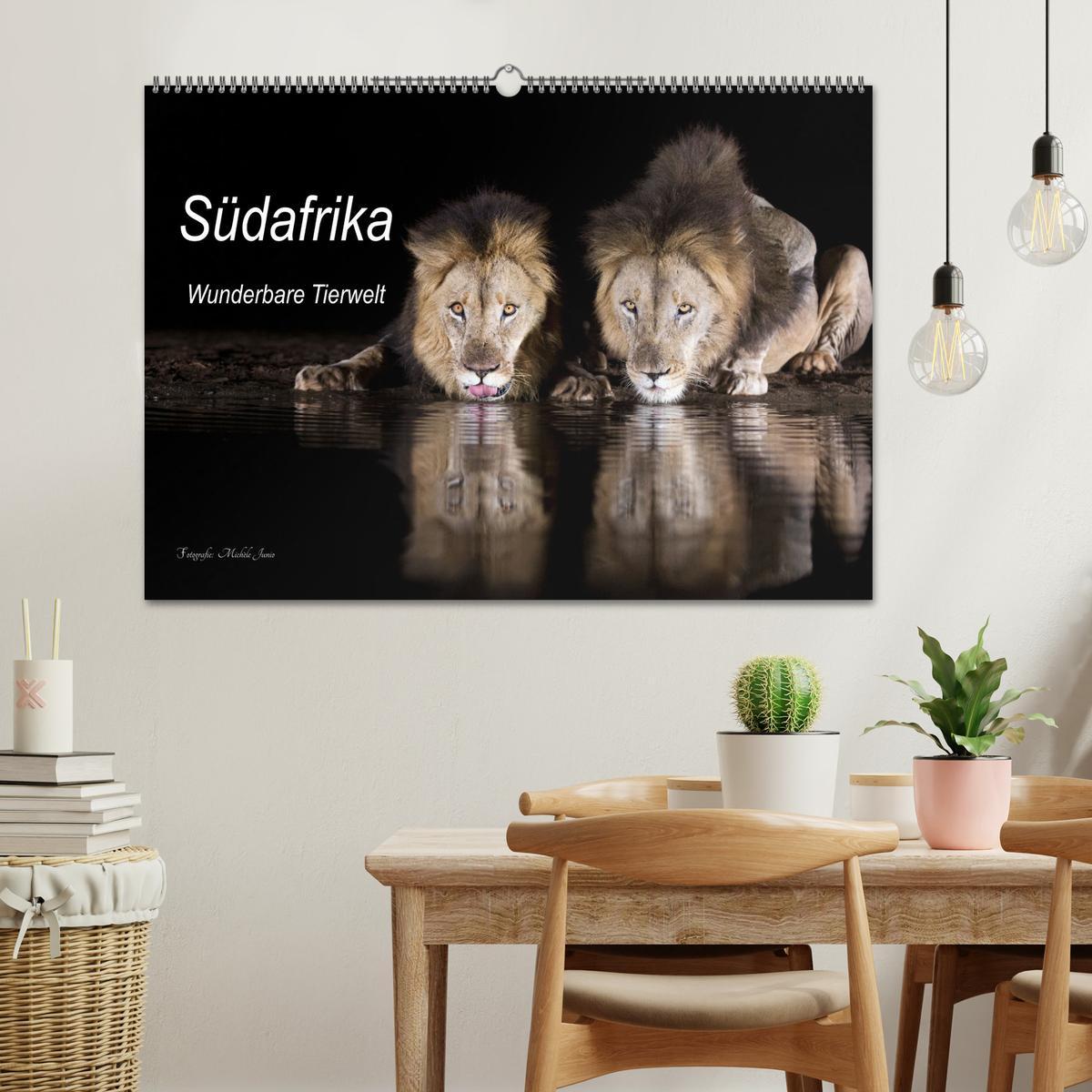 Bild: 9783383976285 | Südafrika wunderbare Tierwelt (Wandkalender 2025 DIN A2 quer),...