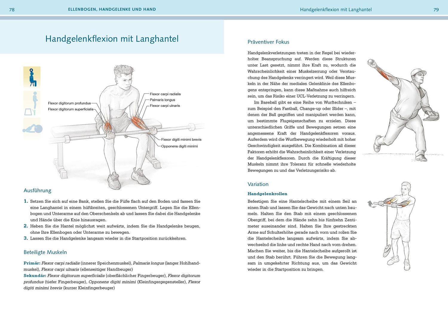 Bild: 9783742324047 | Prävention von Sportverletzungen - Anatomie | David Potach (u. a.)