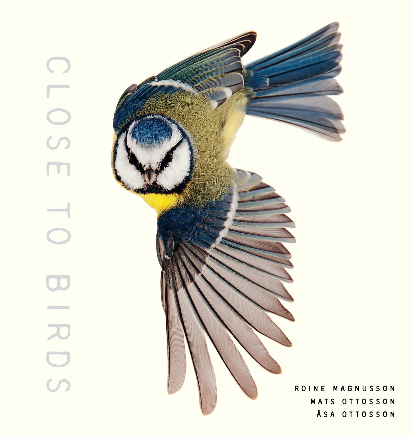 Cover: 9781611807103 | Close to Birds | An Intimate Look at Our Feathered Friends | Buch