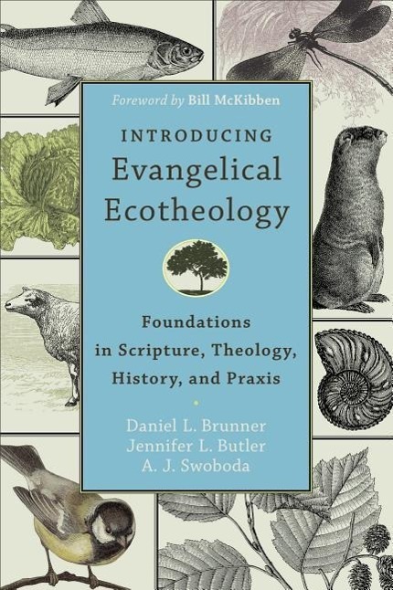 Cover: 9780801049651 | Introducing Evangelical Ecotheology - Foundations in Scripture,...