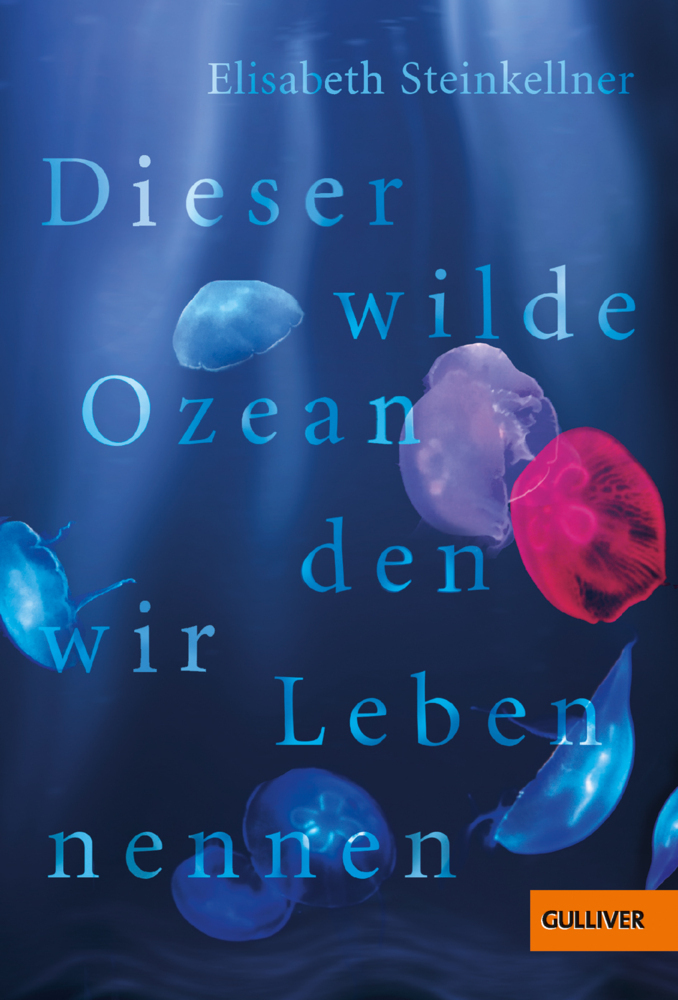 Cover: 9783407755346 | Dieser wilde Ozean, den wir Leben nennen | Roman | Steinkellner | Buch