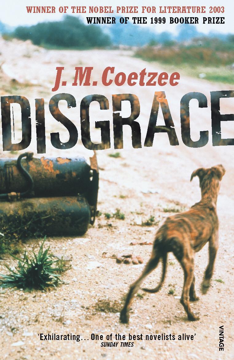 Cover: 9780099289524 | Disgrace | J. M. Coetzee | Taschenbuch | Englisch | 2000