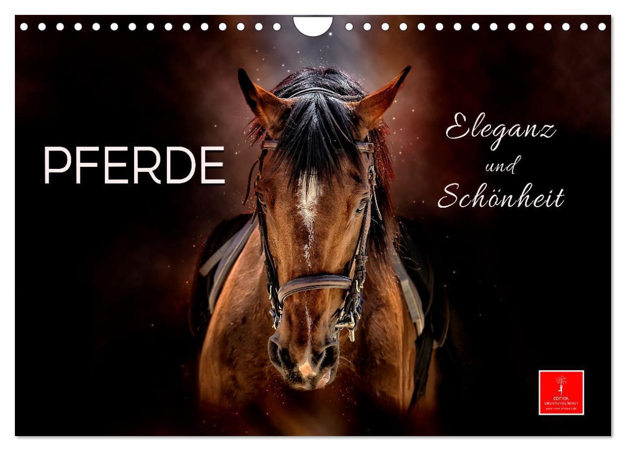 Cover: 9783383640650 | Eleganz und Schönheit - Pferde (Wandkalender 2024 DIN A4 quer),...
