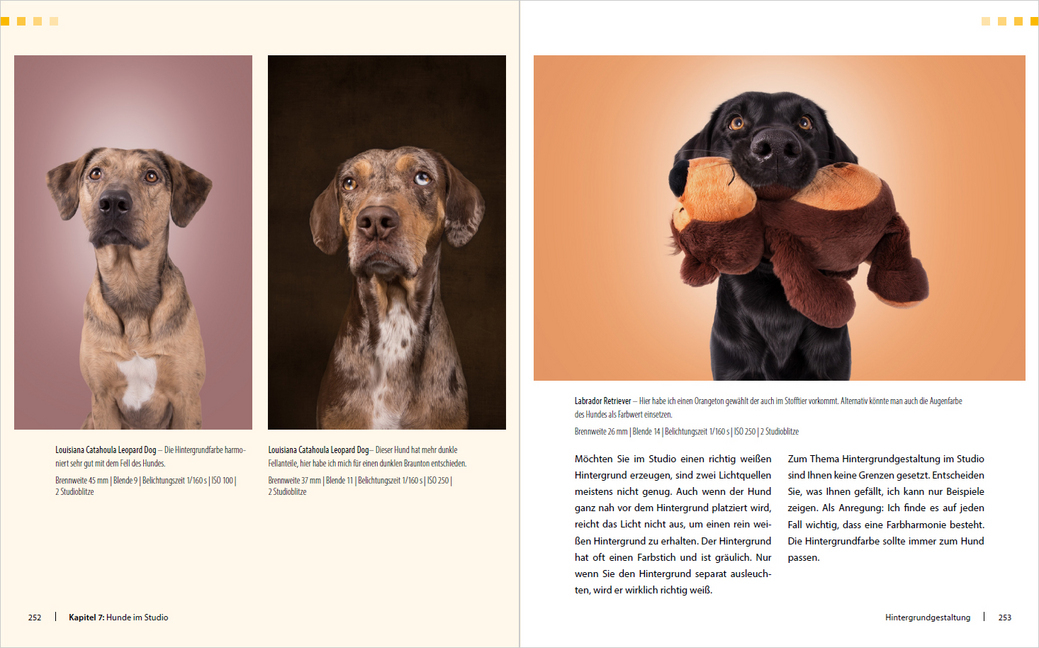 Bild: 9783832803490 | Hunde-Shooting - Fotografieren mit "Wau-Effekt" | Regine Heuser | Buch