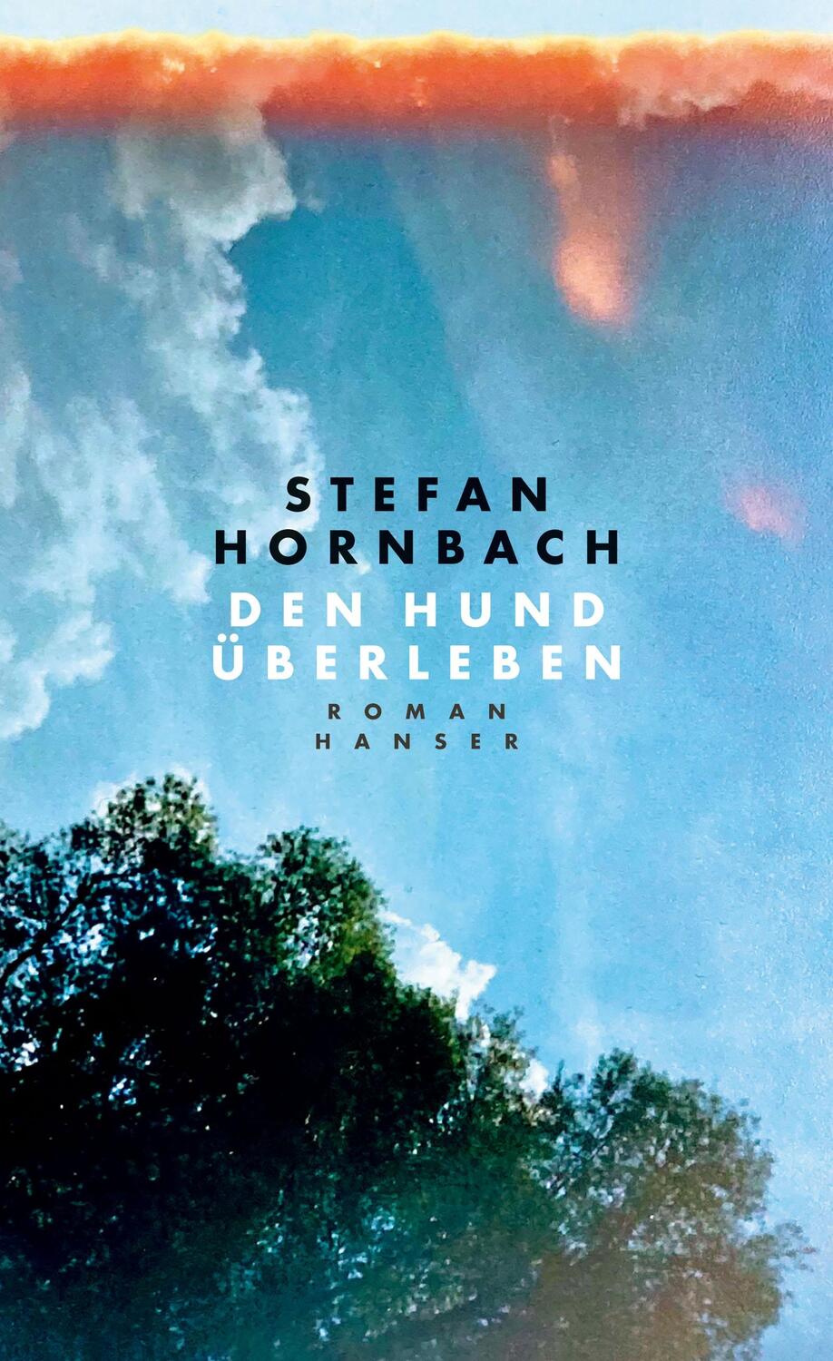 Cover: 9783446270787 | Den Hund überleben | Roman | Stefan Hornbach | Buch | 288 S. | Deutsch