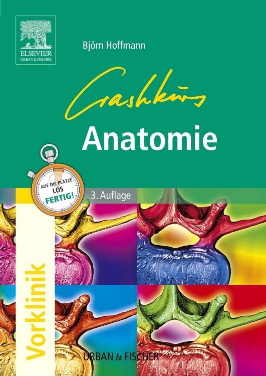 Cover: 9783437313462 | Crashkurs Anatomie | Björn Hoffmann | Taschenbuch | Deutsch | 2006
