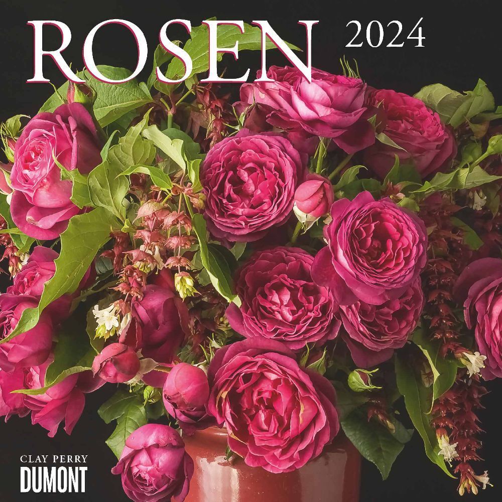 Cover: 4250809651682 | Kal. 2024 Rosen | DUMONT Kalender | Kalender | 30 S. | Deutsch | 2024