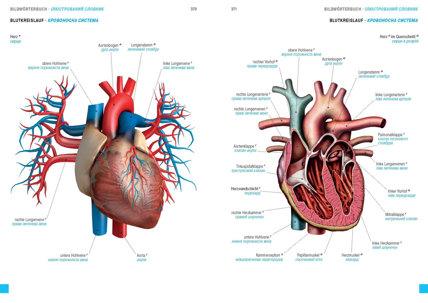 Bild: 9783898947688 | Wörterbuch Medizin Deutsch-Ukrainisch, Ukrainisch-Deutsch mit...