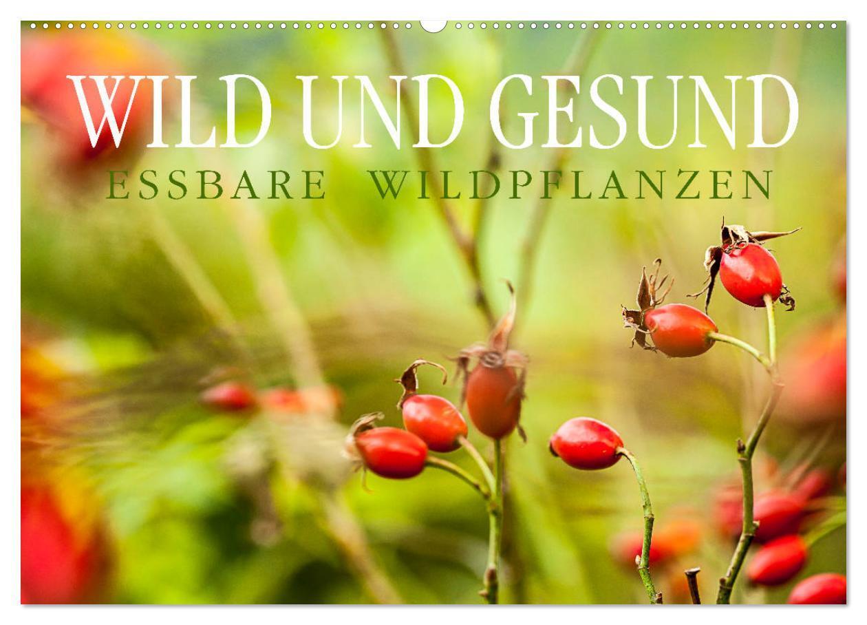 Cover: 9783383003127 | WILD UND GESUND Essbare Wildpflanzen (Wandkalender 2024 DIN A2...