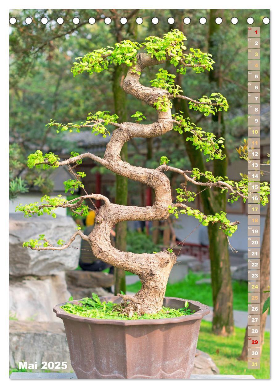 Bild: 9783435852345 | Bonsai: Gartenkunst im Kleinen (Tischkalender 2025 DIN A5 hoch),...