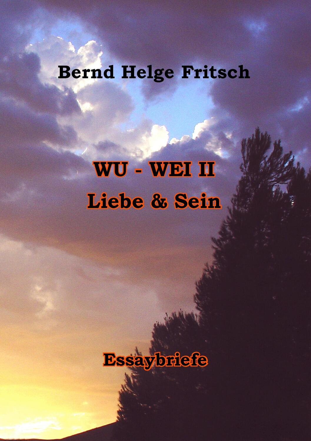 Cover: 9783741222986 | Wu - Wei II | Liebe und Sein | Bernd H. Fritsch | Taschenbuch