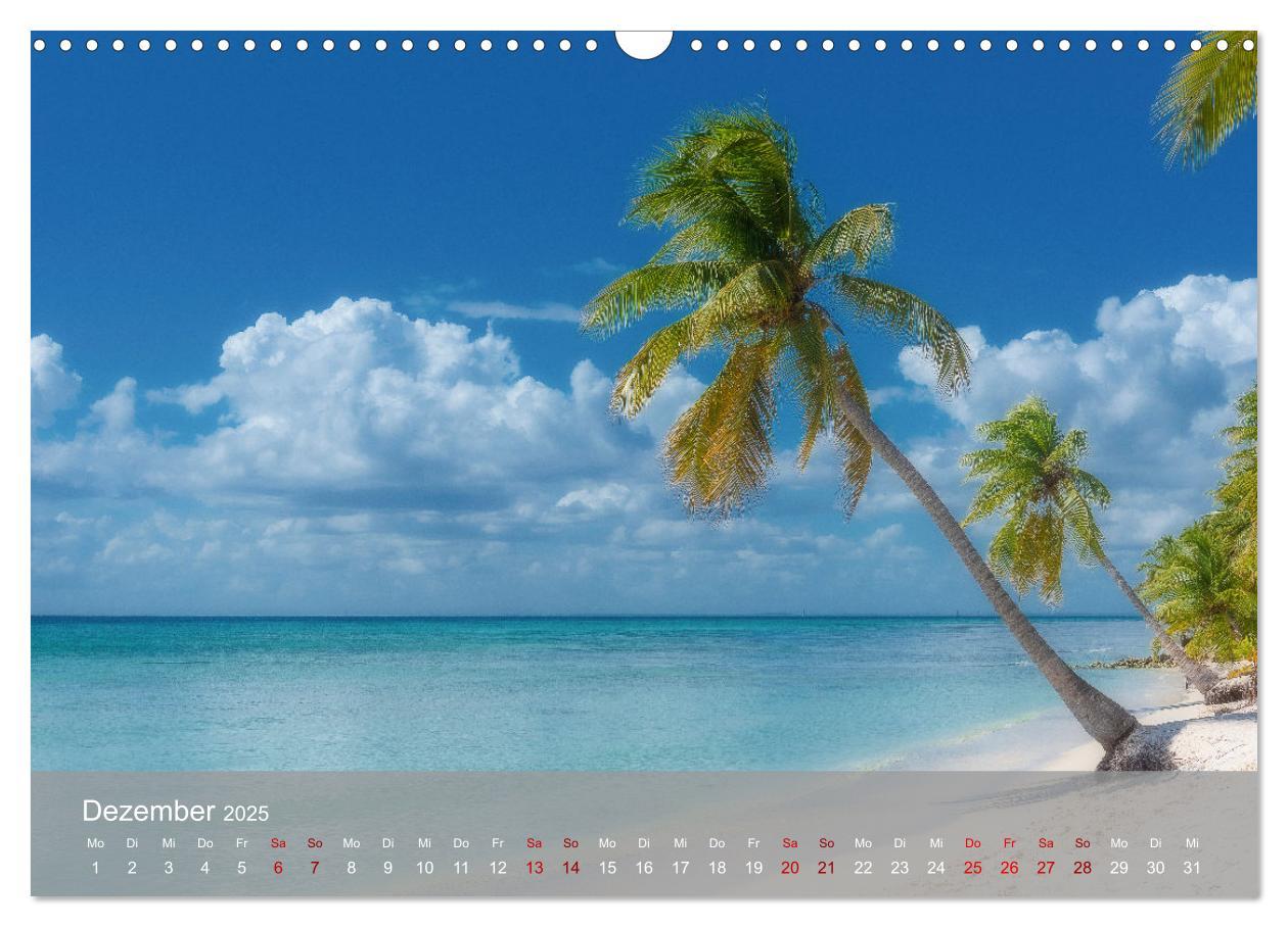 Bild: 9783435022465 | Karibik Traum Isla Saona (Wandkalender 2025 DIN A3 quer), CALVENDO...