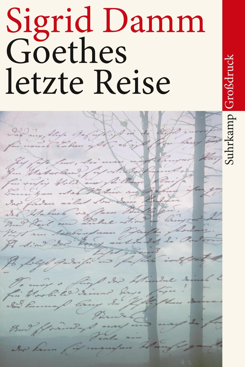 Cover: 9783518462034 | Goethes letzte Reise. Großdruck | Sigrid Damm | Taschenbuch | Deutsch