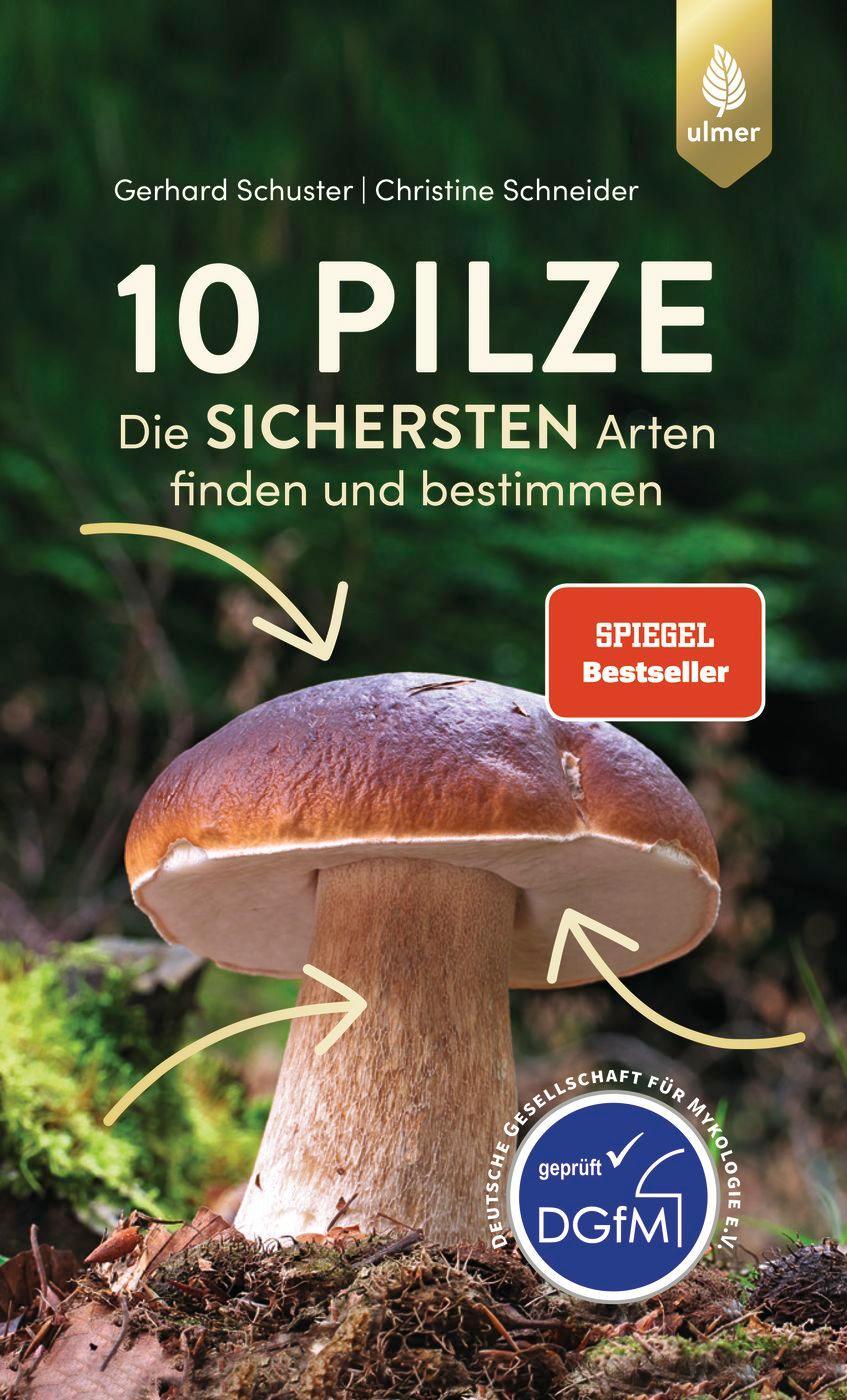Cover: 9783818614546 | 10 Pilze | Die sichersten Arten finden und bestimmen | Taschenbuch