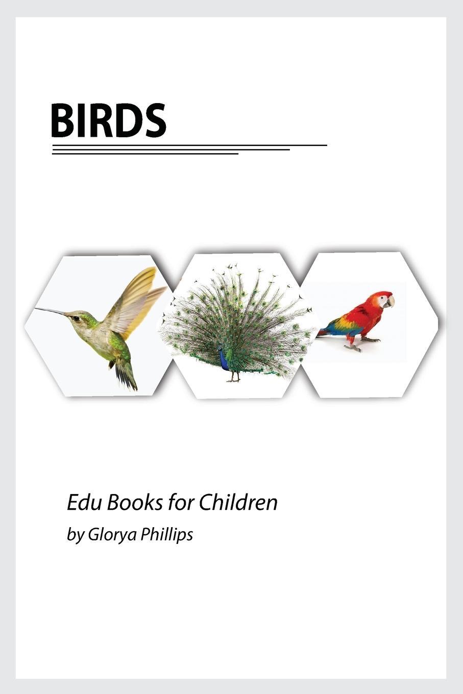 Cover: 9782213610481 | Birds | Glorya Phillips | Taschenbuch | Edu Books for Children | 2021
