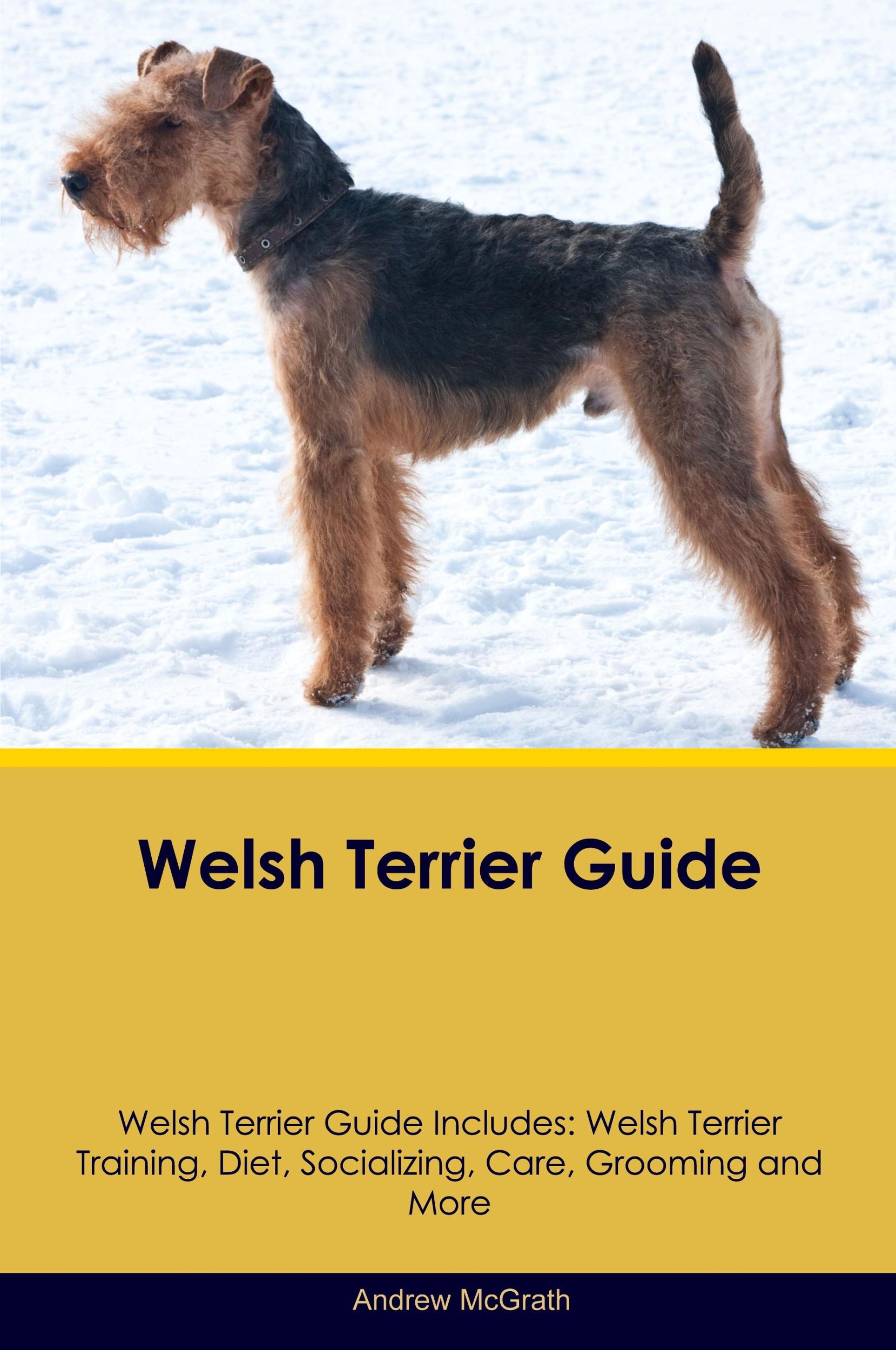 Cover: 9781395861957 | Welsh Terrier Guide Welsh Terrier Guide Includes | Andrew McGrath