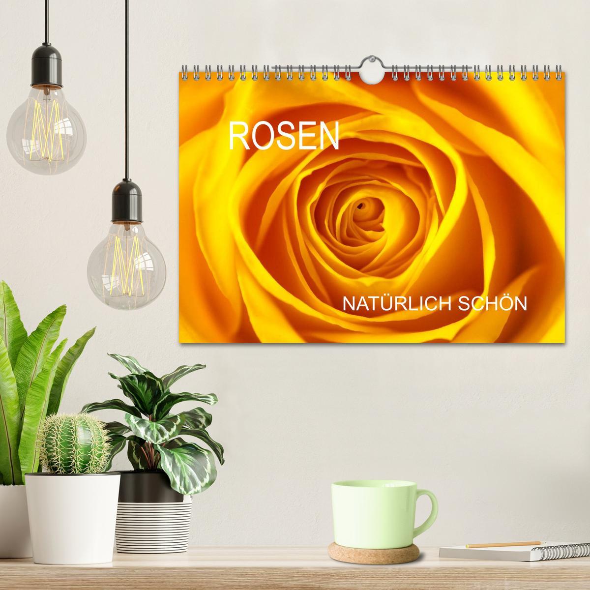 Bild: 9783435652044 | Rosen natürlich schön (Wandkalender 2025 DIN A4 quer), CALVENDO...