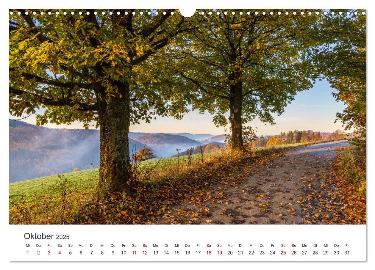 Bild: 9783435018826 | Das Sauerland im Wechsel der Jahreszeiten (Wandkalender 2025 DIN A3...