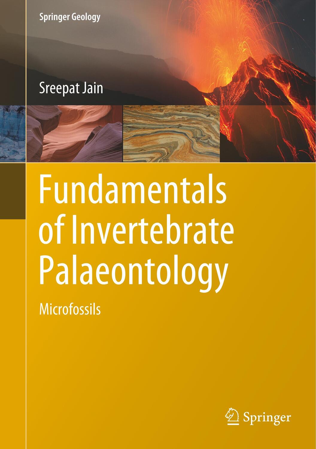 Cover: 9788132239604 | Fundamentals of Invertebrate Palaeontology | Microfossils | Jain