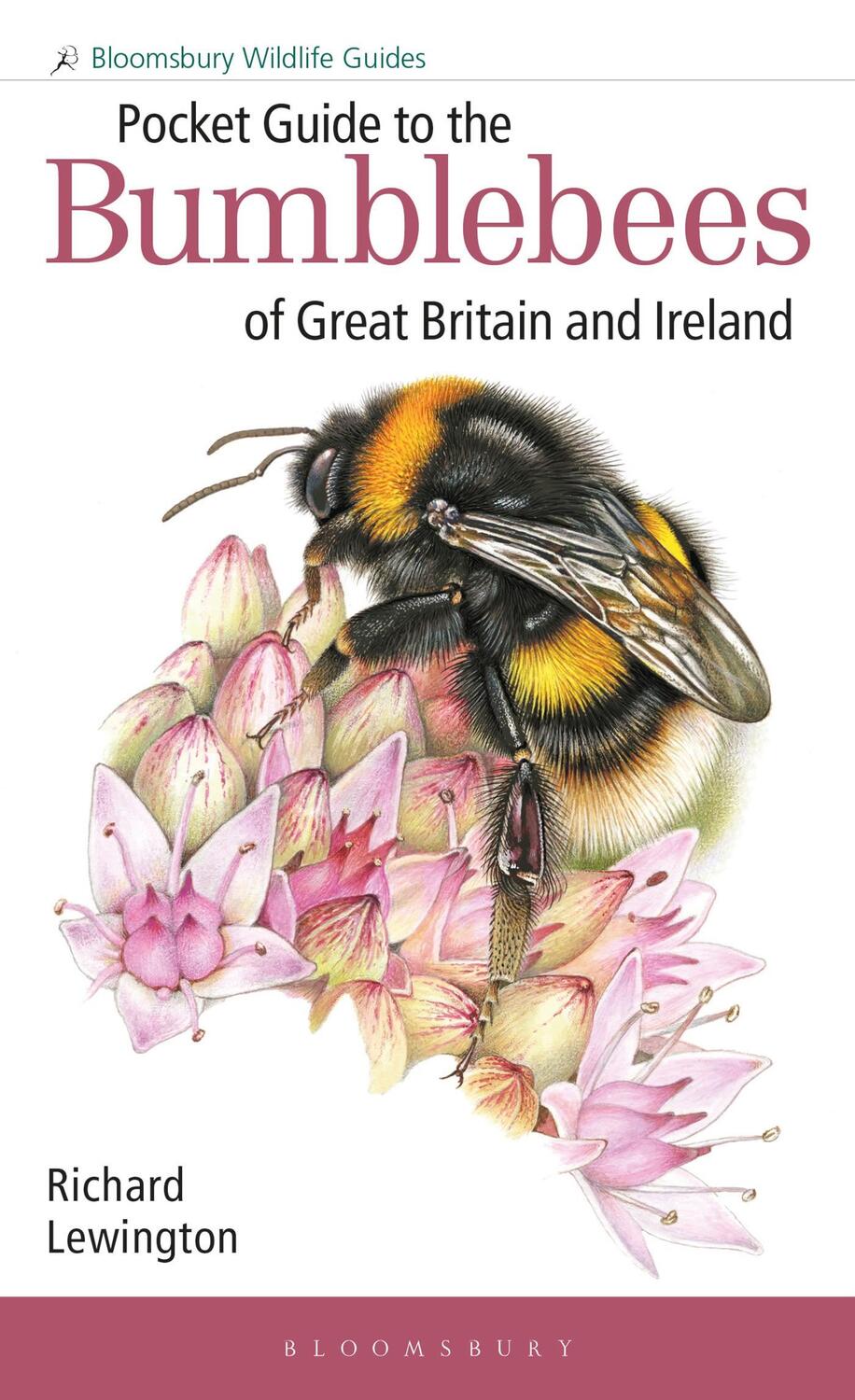 Cover: 9781472993595 | Pocket Guide to the Bumblebees of Great Britain and Ireland | Buch