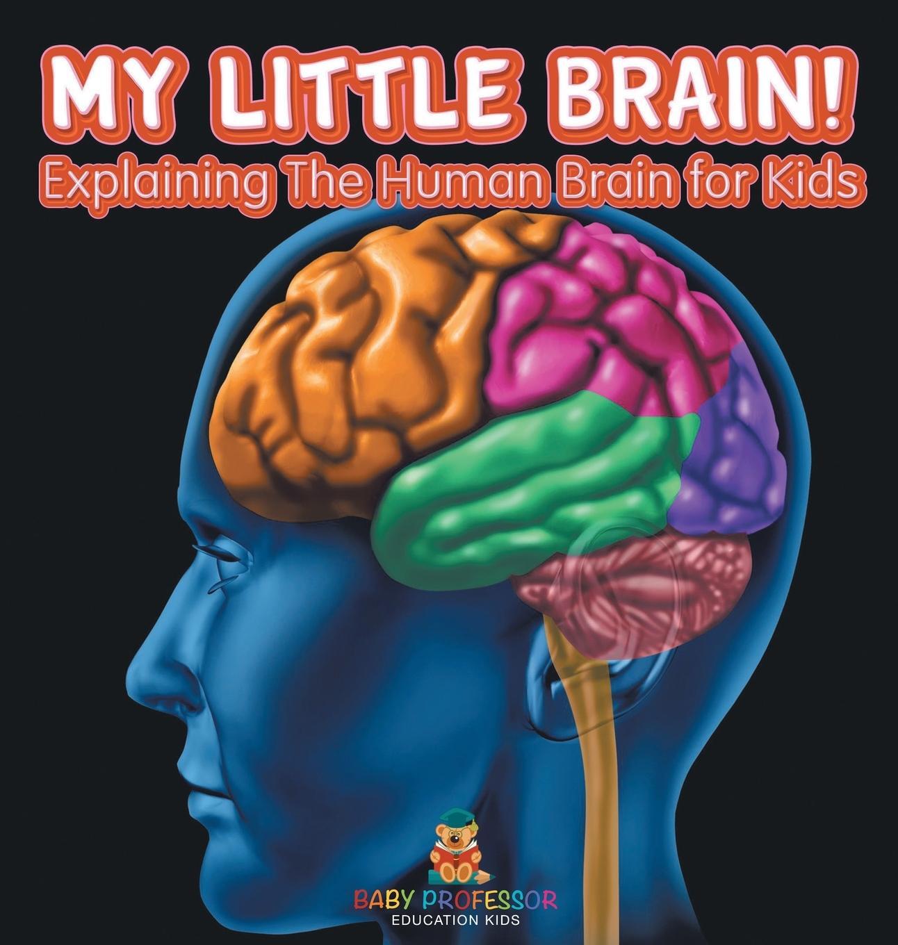 Cover: 9798869412553 | My Little Brain! - Explaining The Human Brain for Kids | Baby | Buch