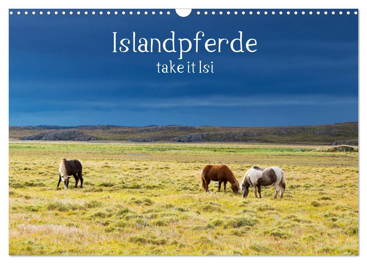 Cover: 9783435272471 | Islandpferde take it Isi (Wandkalender 2025 DIN A3 quer), CALVENDO...