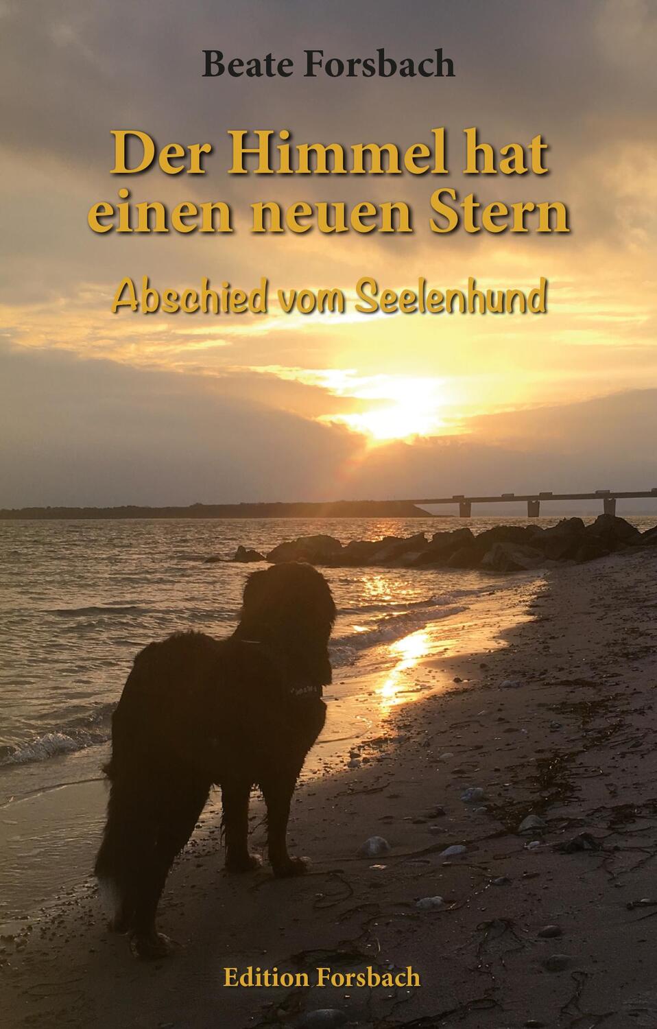 Cover: 9783959041966 | Der Himmel hat einen neuen Stern | Abschied vom Seelenhund | Forsbach