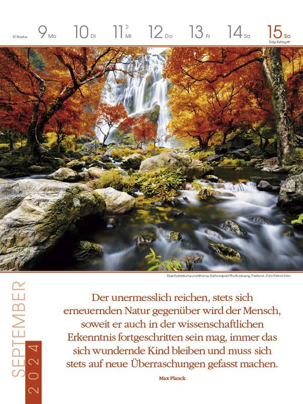 Bild: 9783731870159 | Literaturkalender Magische Wälder 2024 | Korsch Verlag | Kalender