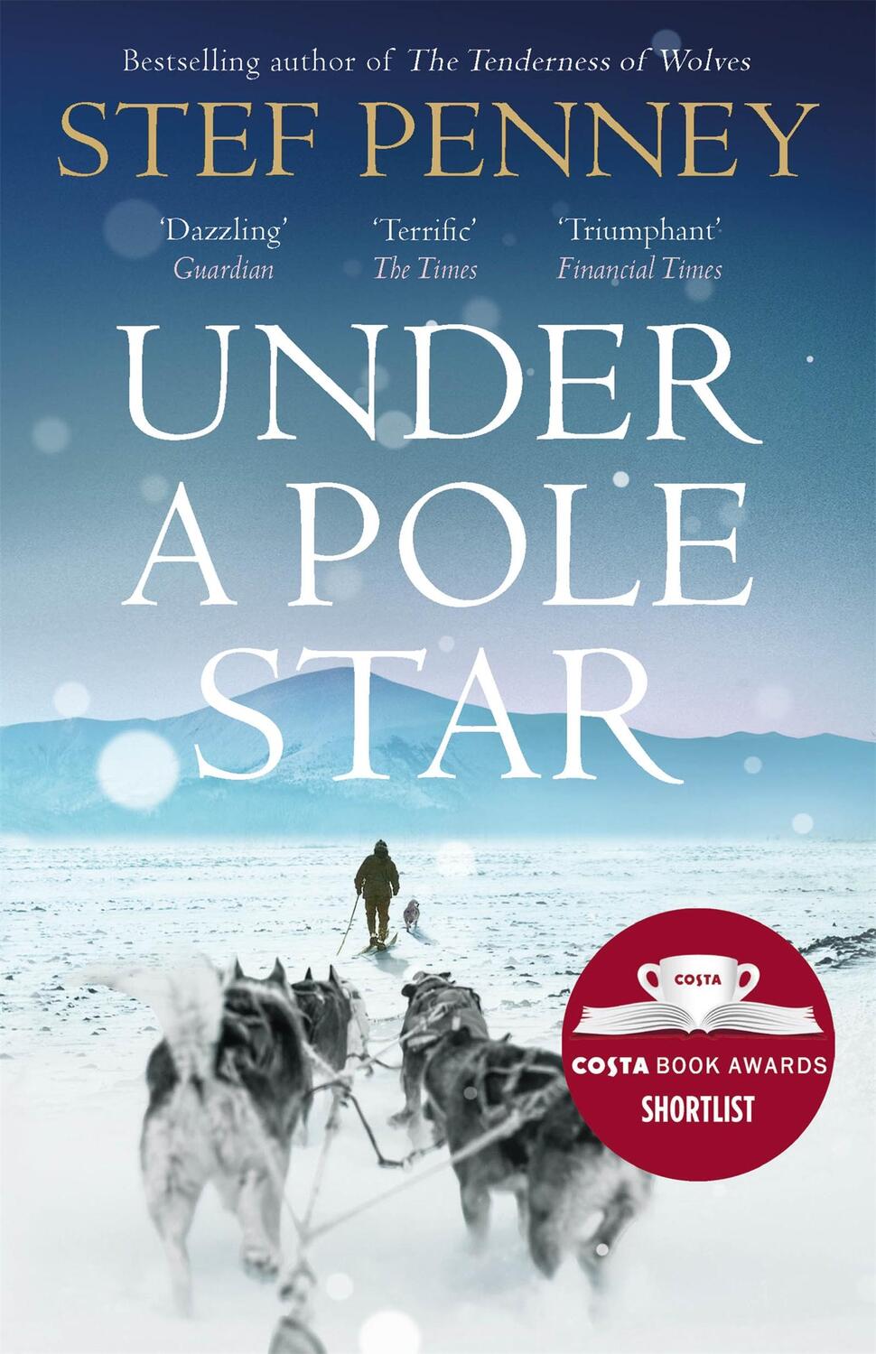 Cover: 9781786481191 | Under a Pole Star | Shortlisted for the 2017 Costa Novel Award | Buch