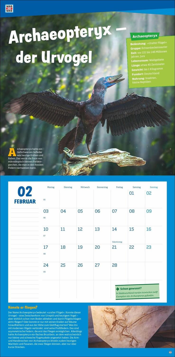 Bild: 9783756408412 | WAS IST WAS Dinosaurier Broschurkalender 2025 | Kalender | 28 S.