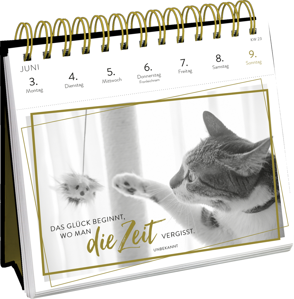 Bild: 4036442010372 | Postkartenkalender 2024: Inspirierende Worte für Katzenfreunde | 54 S.