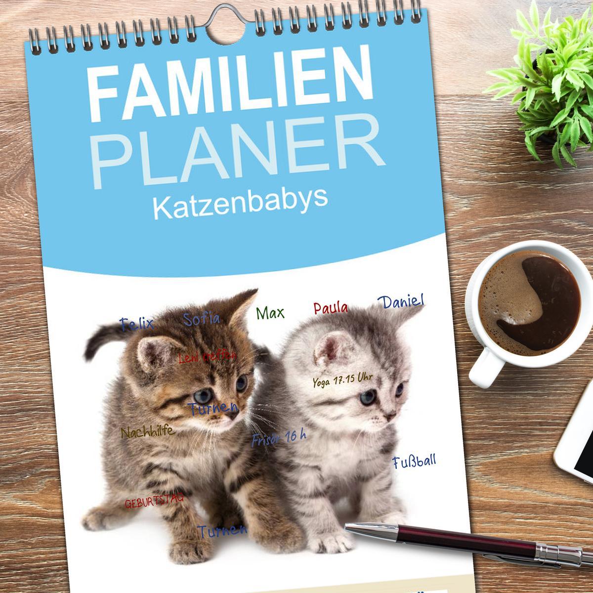 Bild: 9783457113851 | Familienplaner 2025 - Katzenbabys mit 5 Spalten (Wandkalender, 21 x...