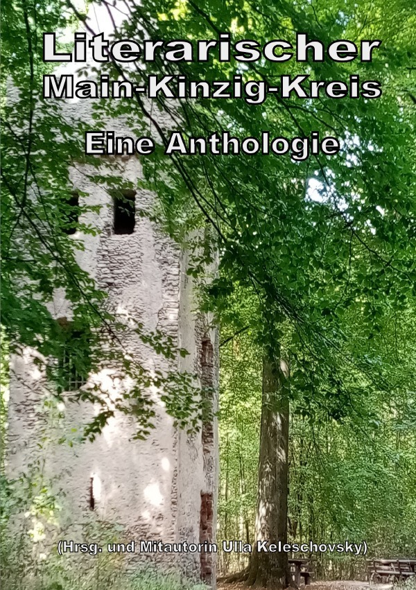 Cover: 9783757540395 | Literarischer Main-Kinzig-Kreis | DE | Autorengruppe ZwanzigZehn
