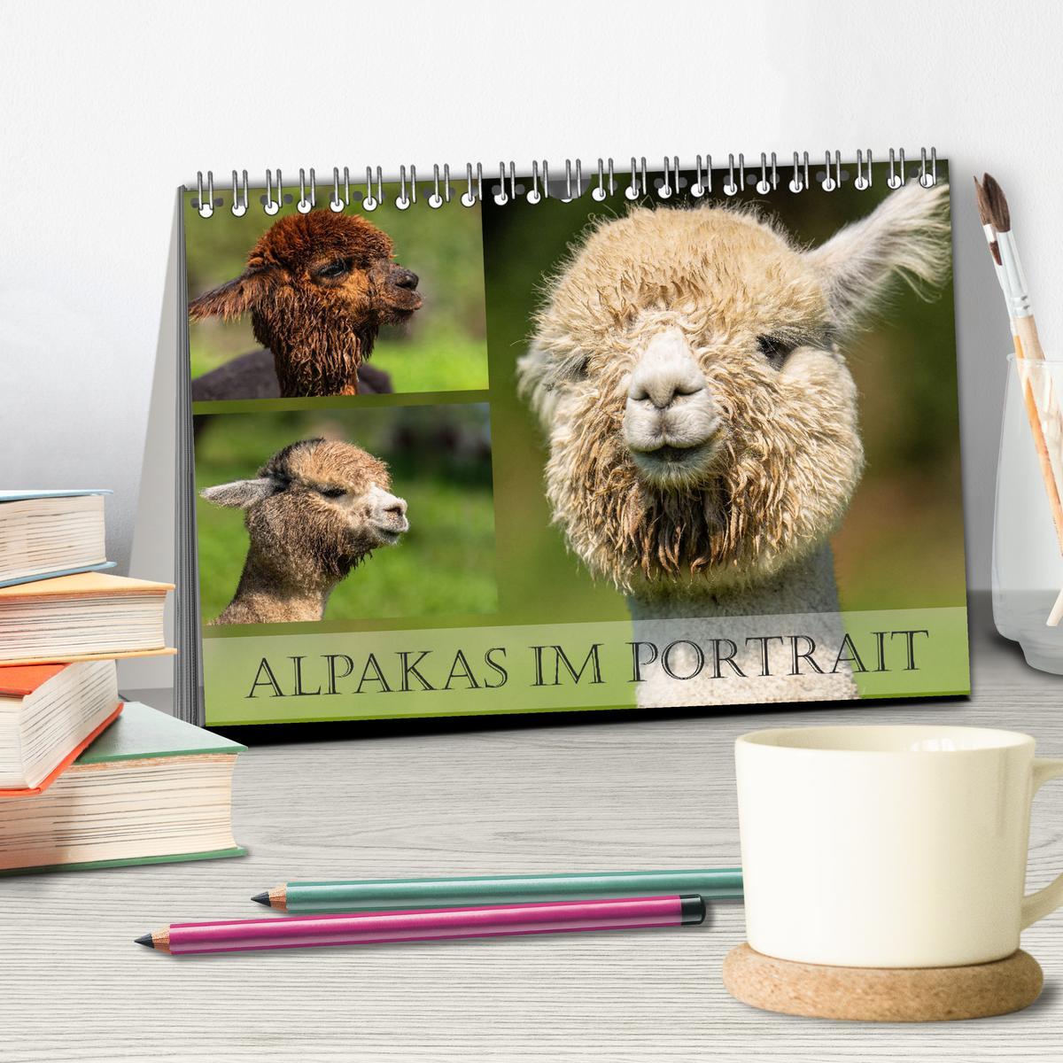 Bild: 9783383859335 | Alpakas im Portrait (Tischkalender 2025 DIN A5 quer), CALVENDO...