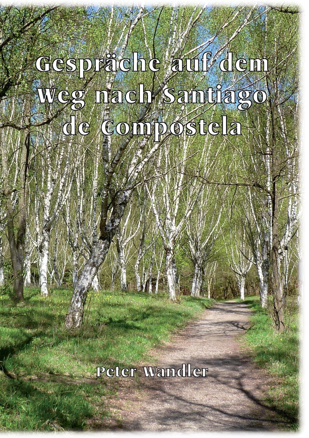 Cover: 9783741281761 | Gespräche auf dem Weg nach Santiago de Compostela | Peter Wandler